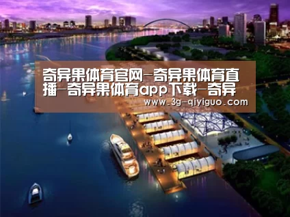 案例展示八
