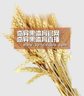 奇异果体育官网-奇异果体育直播-奇异果体育app下载-奇异果体育在线观赛