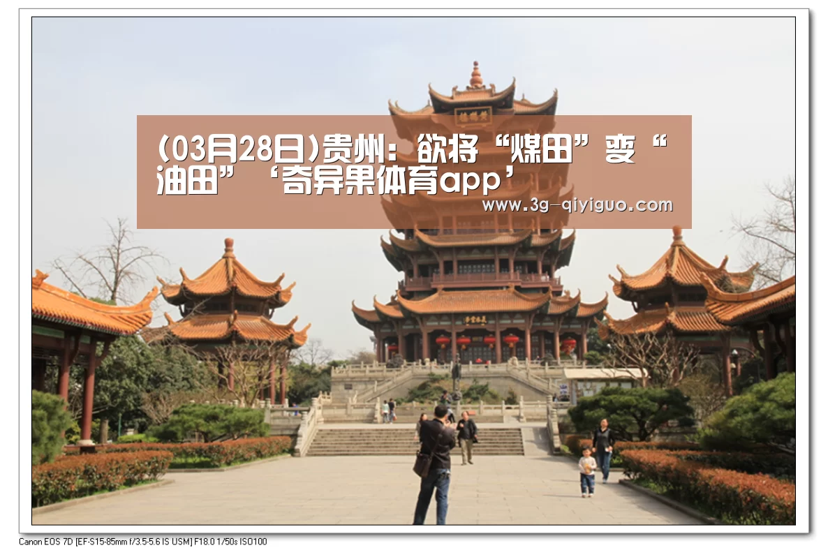 奇异果app官网下载