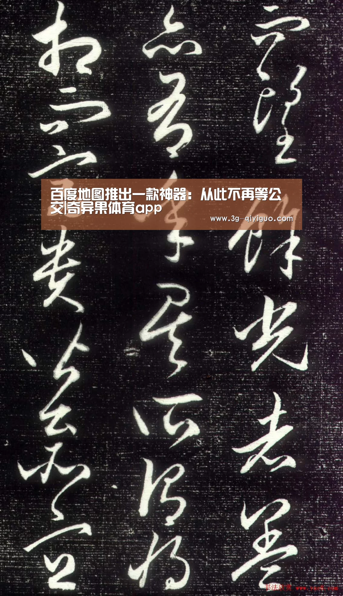 奇异果体育官网